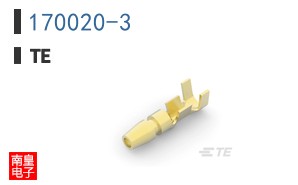 170020-3