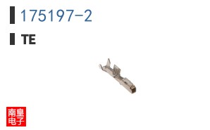 175197-2