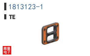 1813123-1