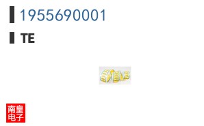1955690001