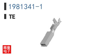 1981341-1