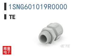1SNG601019R0000