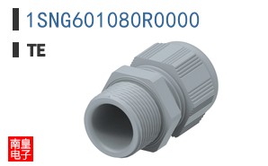 1SNG601080R0000