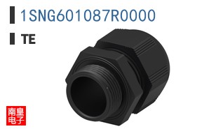1SNG601087R0000