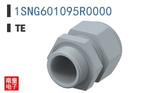 1SNG601095R0000