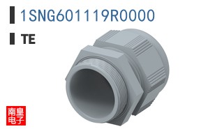 1SNG601119R0000