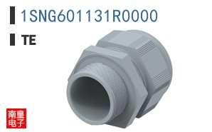 1SNG601131R0000