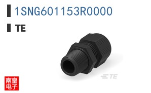1SNG601153R0000