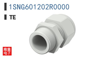 1SNG601202R0000
