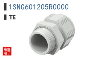 1SNG601205R0000