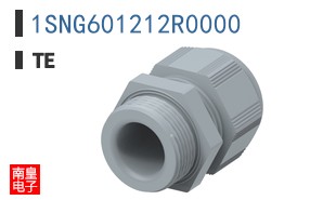 1SNG601212R0000