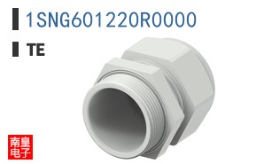 1SNG601220R0000