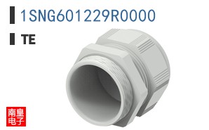 1SNG601229R0000