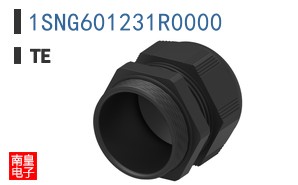 1SNG601231R0000
