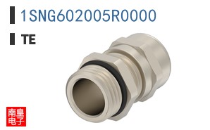 1SNG602005R0000