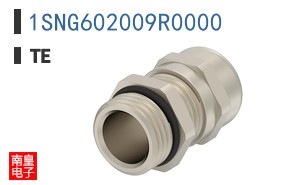 1SNG602009R0000