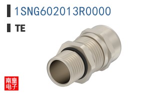 1SNG602013R0000