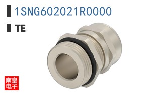 1SNG602021R0000