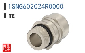 1SNG602024R0000