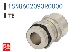 1SNG602093R0000
