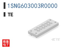 1SNG603003R0000