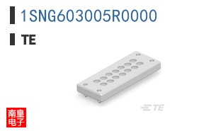 1SNG603005R0000