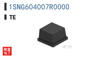 1SNG604007R0000