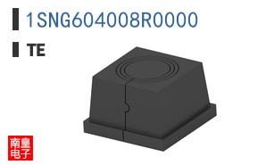 1SNG604008R0000