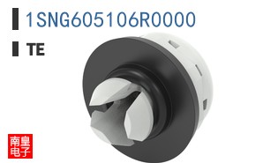 1SNG605106R0000
