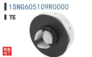 1SNG605109R0000
