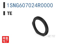 1SNG607024R0000