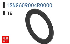 1SNG609004R0000