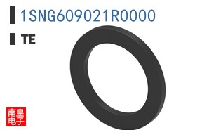 1SNG609021R0000