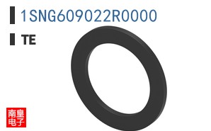 1SNG609022R0000