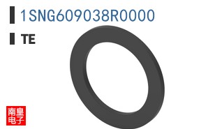 1SNG609038R0000