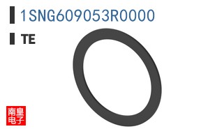 1SNG609053R0000