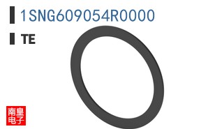 1SNG609054R0000
