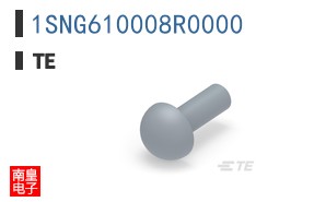 1SNG610008R0000