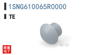 1SNG610065R0000