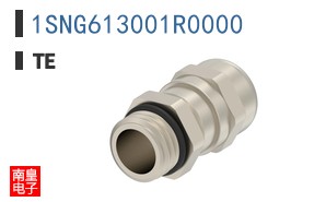 1SNG613001R0000