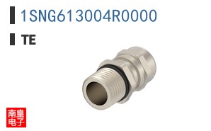 1SNG613004R0000