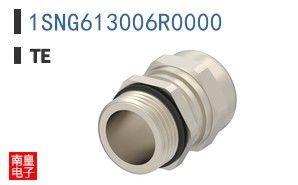 1SNG613006R0000