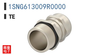 1SNG613009R0000