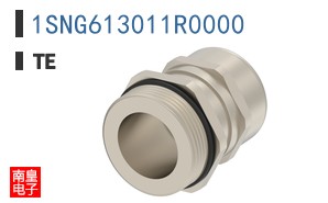 1SNG613011R0000