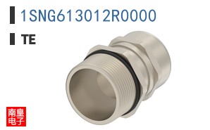 1SNG613012R0000