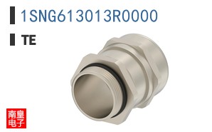 1SNG613013R0000