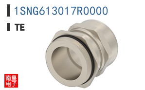 1SNG613017R0000
