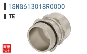1SNG613018R0000
