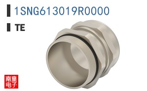 1SNG613019R0000