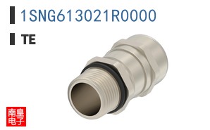 1SNG613021R0000
